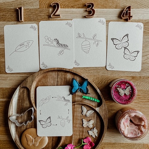montessori-educatief-montessori-speelgoed-vlinder-flashcards-natuuronderwijs-het-speellab-1 (1) Wildebras Lifecycle Flashcards Vlinder – Educatief Montessori natuur speelgoed bij Het Speellab