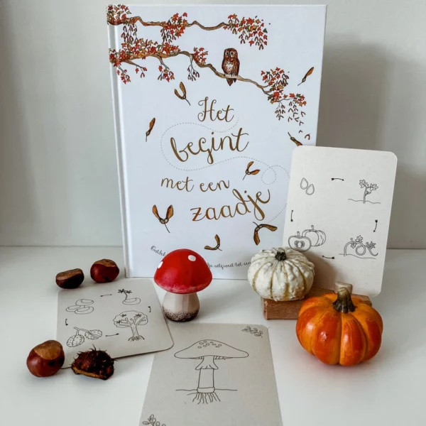 wildebras-lifecycle-flashcards-montessori-natuuronderweijd-herfst-het-speellab-2 Wildebras lifecycle flashcards pompoen kastanje eikel paddenstoel – educatief Montessori speelgoed bij Het Speellab