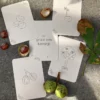 Wildebras lifecycle flashcards pompoen kastanje eikel paddenstoel – educatief Montessori speelgoed bij Het Speellab