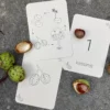 Wildebras lifecycle flashcards pompoen kastanje eikel paddenstoel – educatief Montessori speelgoed bij Het Speellab