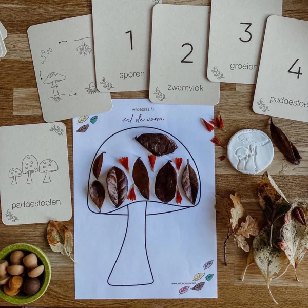 wildebras-lifecycle-flashcards-montessori-natuuronderweijd-herfst-het-speellab.10 Wildebras lifecycle flashcards pompoen kastanje eikel paddenstoel – educatief Montessori speelgoed bij Het Speellab