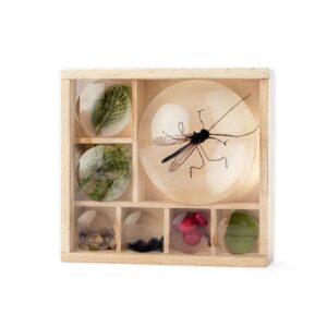 huckleberry-mijn-kleine-museum-natuur-verzamelbox-educatief-speelgoed-hetspeellab.jpg Huckleberry Mijn Kleine Museum houten verzamelbox met vergrootglazen voor natuurschatten het speellab