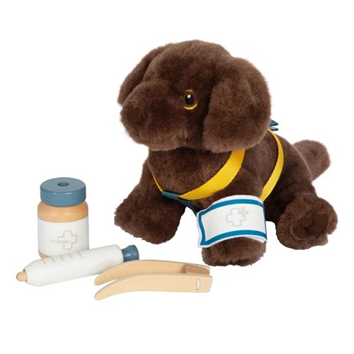 Verzorgingsset hond kinderen – pincet, spuit & verbanden