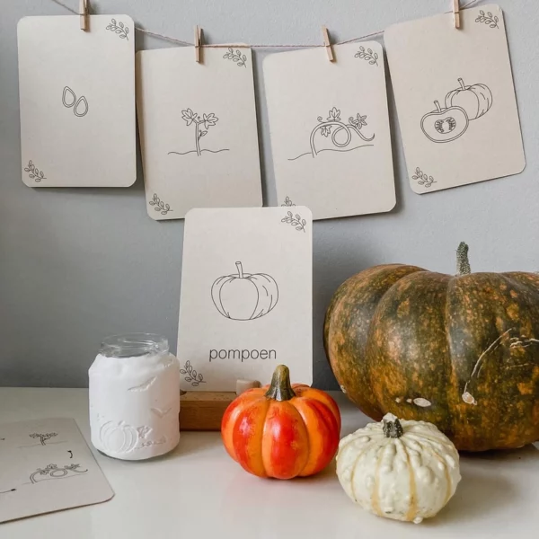 Lifecycle flashcards pompoen, kastanje, eikel en paddenstoel Montessori speelgoed van Wildebras