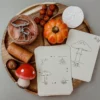 Lifecycle kaarten van paddenstoel groeicyclus educatief Montessori speelgoed