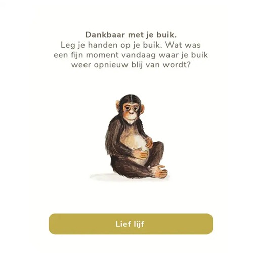 Welterusten, slaap lekker! – Slaapkaartjes van Uitgeverij Briljant slaapritueel en rustmomenten bij Het Speellab