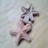 Kiddi-mal-zeester-sensorisch-klei-zand-speellab Zeester mal voor speeltafel met zand en klei voor kinderen