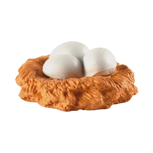 Het nest met eieren uit de levenssyclus kip naar ei