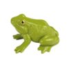 eduplay-kikker-levenscyclus-montessori-biologie-speelgoed. Montessori biologie speelgoed met de levenscyclus van een kikker voor educatief leren
