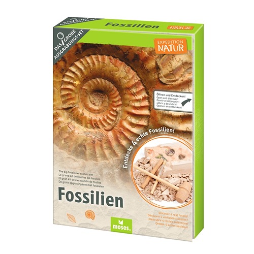 expeditie-natuur-uithakset-fossielen-dinosaurus Expeditie Natuur fossielen uithakset voor kinderen