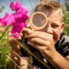 Kind bekijkt insecten met dubbel vergrootglas